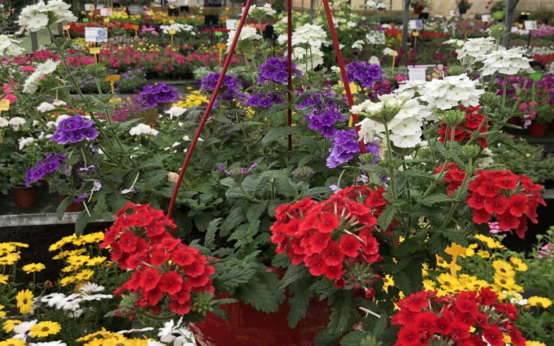 LA JARDINERIE VOUS ACCUEIL TOUTE L’ANNÉE